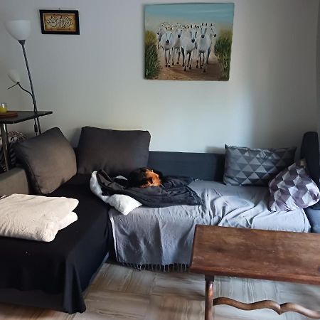 Rez-De-Jardin Grand Studio Apartman Cros-de-Cagnes Kültér fotó
