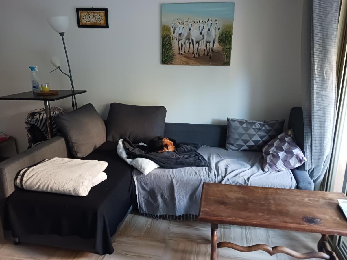 Rez-De-Jardin Grand Studio Apartman Cros-de-Cagnes Kültér fotó